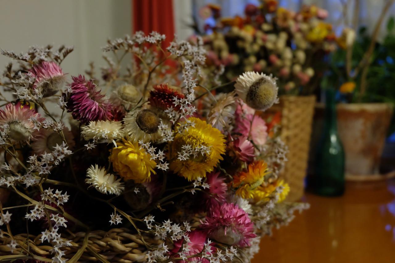Appikogen Pension Mutti Hachimantai  Luaran gambar